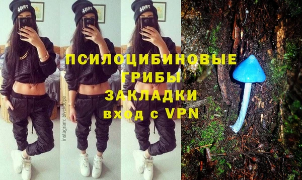 герыч Каменка