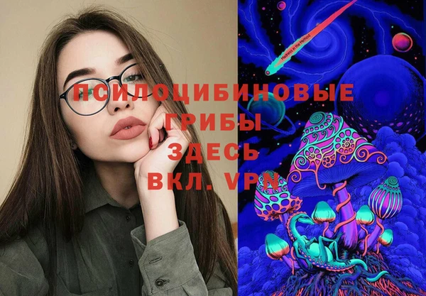 мдма Инта