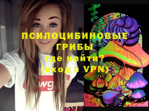 мдма Инта
