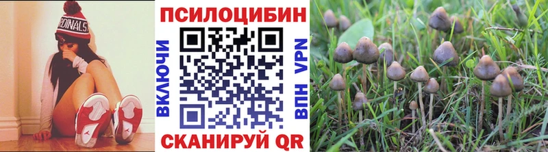 Купить где  Нижний Ломов  Псилоцибиновые грибы мицелий 